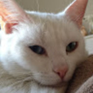 Meet your Posher, Larissa